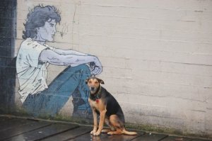 Benetton and Graffitti